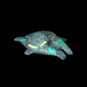 Cruiser