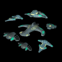 Fleet