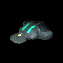 Medium Transport