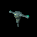 Space Station